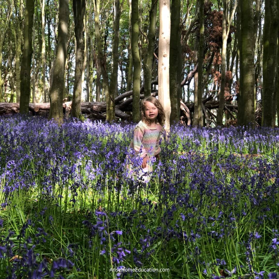 image of child in woodland field of blue belss enjoying Spring Outdoor Activities for Kids - Nature walk resources for families at AriseHomeEducation.com
